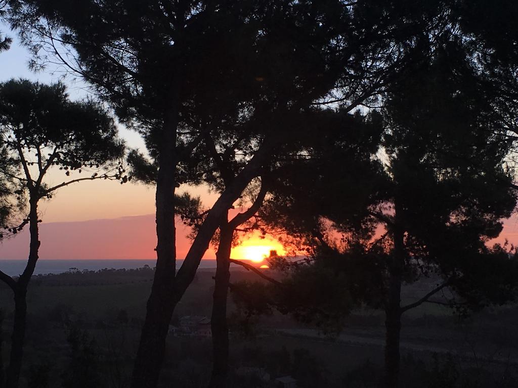 Il Colle Delle Terrazze Hotel Fano Luaran gambar